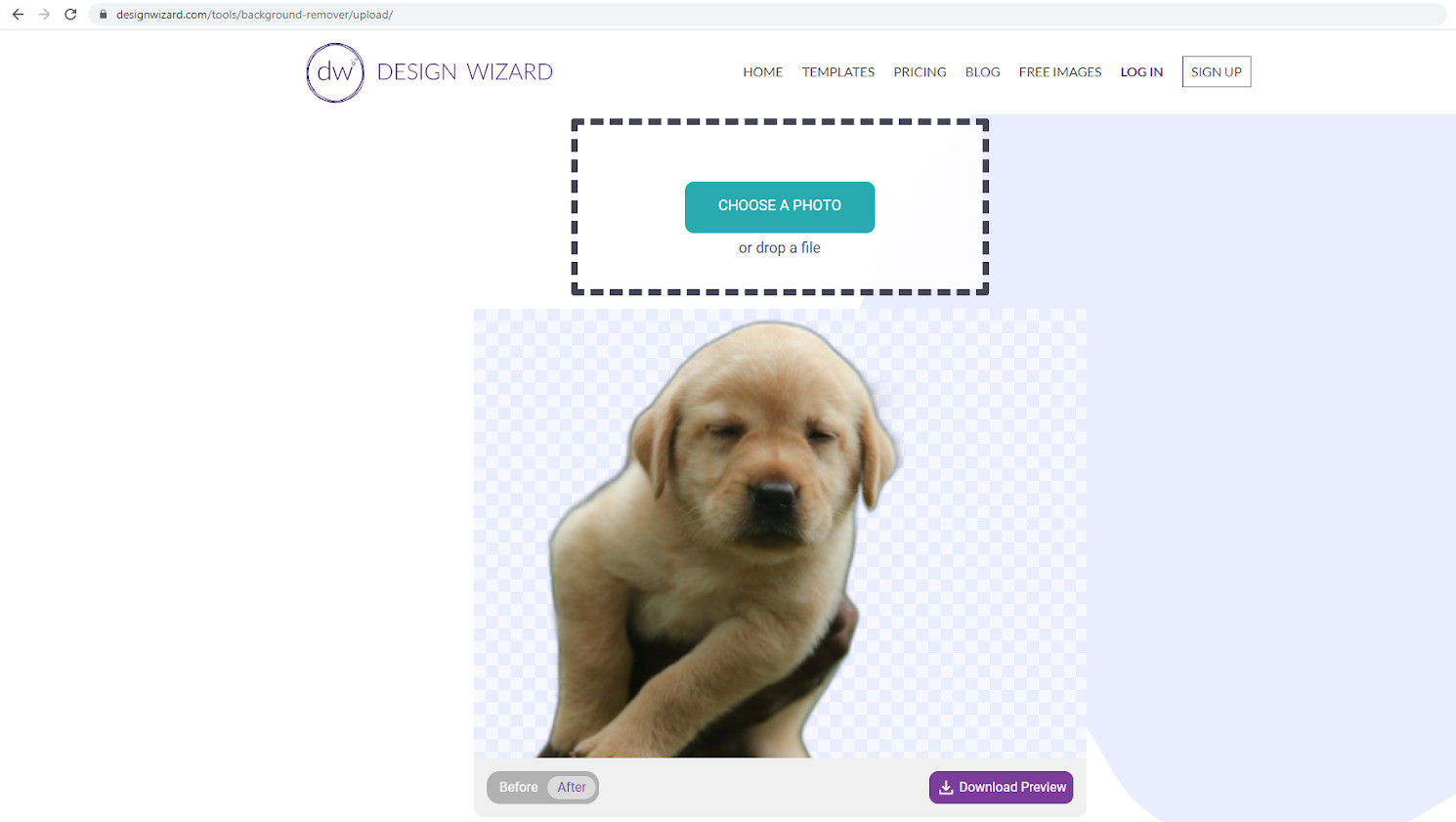 Screenshot of page with pic of a puppy