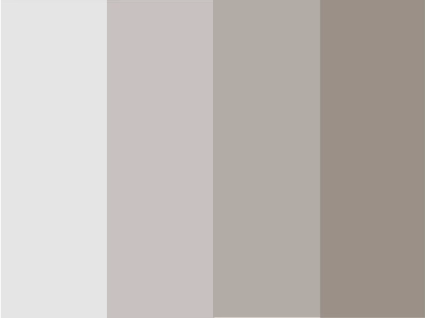 Third color palette white - The importance of a brand's color palette and how to choose the right colors - Image